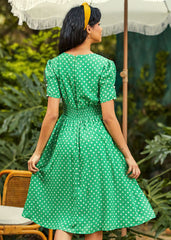 Picnic Perfection Fit & Flare Dress