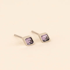 February Birthstone Stud Earrings