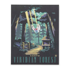 Explore Pokémon Posters (9-Pack)