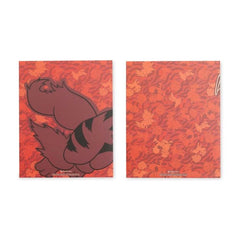 Fire Forms Pokémon Fundamentals Folders (2-Pack)