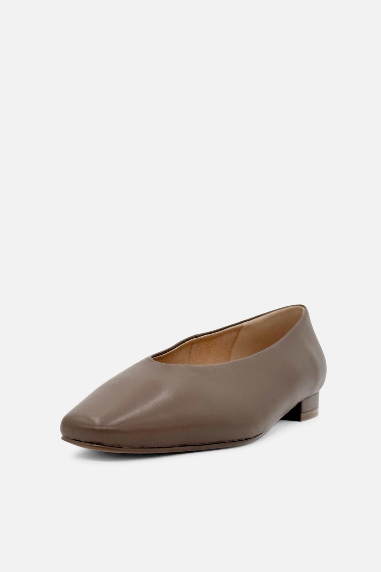 Slick Ballet Flats