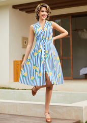 The Carousel Cutie Dress