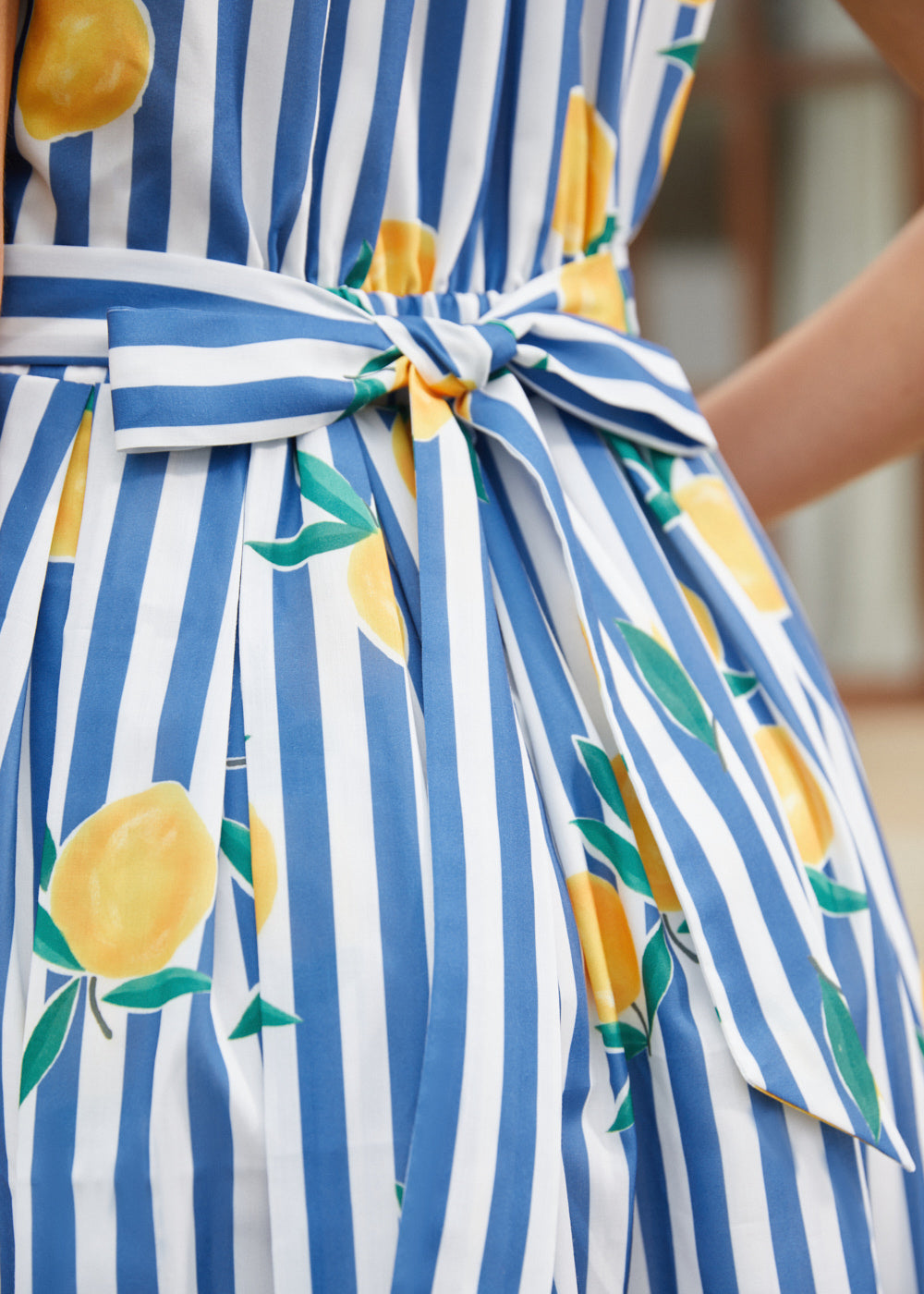 The Carousel Cutie Dress