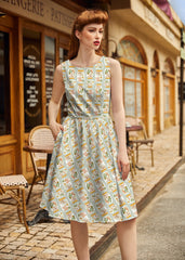 Vintage Style Midi Dress Jars