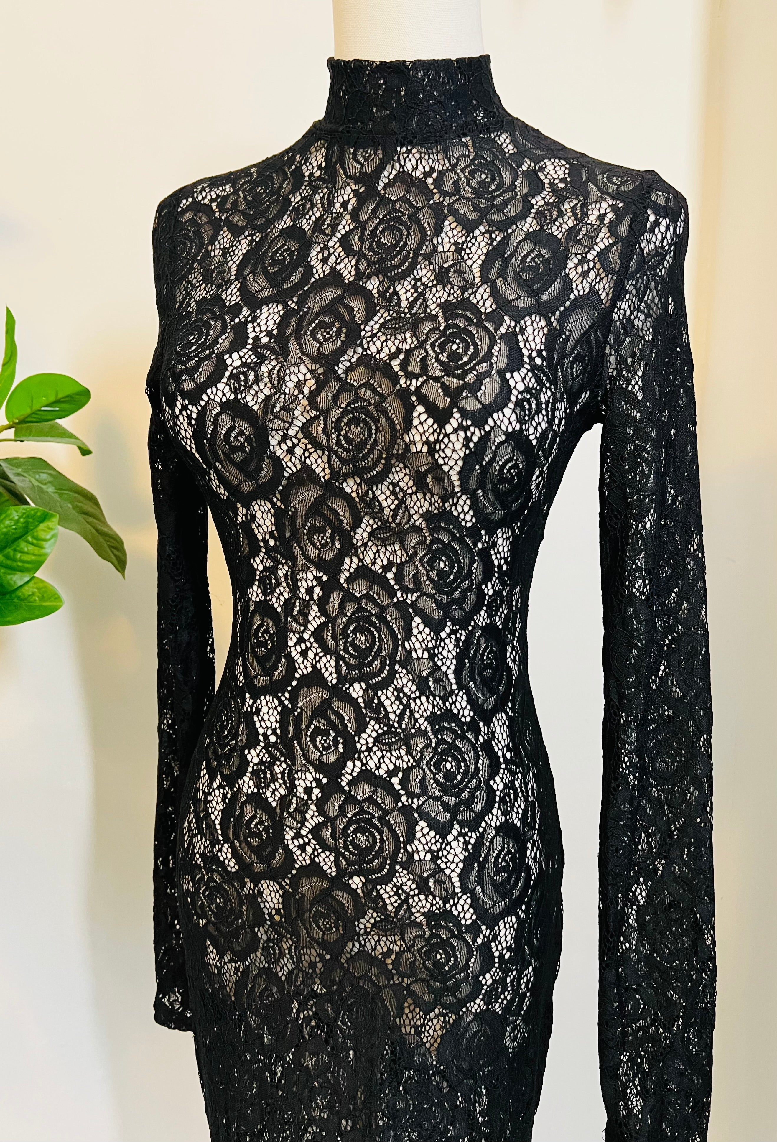 Persephone - Deadly Sheer Floral Lace Maxi Dress